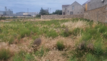 40 m2 Torpaq