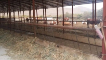  otaqlı Obyekt, Satış, Bakı