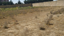 15 sot Torpaq, Satış, Bakı, Binəqədi