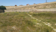 15 sot Torpaq, Satış, Bakı, Binəqədi