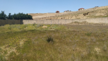 15 sot Torpaq, Satış, Bakı, Binəqədi