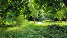 10 sot Torpaq, Satış, Qəbələ