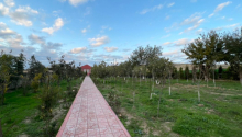 9 otaqlı Bağ evləri, Satış, Abşeron