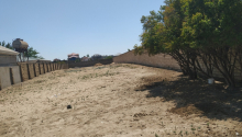8 sot Torpaq, Satış, Bakı, Xəzər