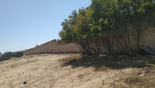 8 sot Torpaq, Satış, Bakı, Xəzər
