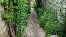 6 otaqlı Villa / Həyət evi, Satış, Bakı, Sabunçu, Koroğlu