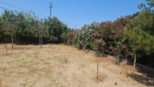 26 sot Torpaq, Satış, Bakı, Xəzər