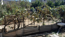 4 sot Torpaq, Satış, Sumqayıt