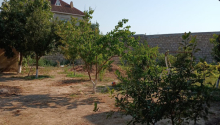 6 m2 Torpaq, Satış, Bakı, Xəzər, Koroğlu