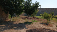 6 m2 Torpaq, Satış, Bakı, Xəzər, Koroğlu