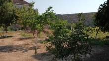6 m2 Torpaq, Satış, Bakı, Xəzər, Koroğlu