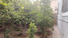 4 otaqlı Villa / Həyət evi, Satış, Bakı, Sabunçu, Koroğlu
