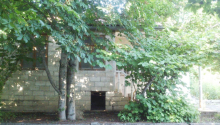 5 otaqlı Villa / Həyət evi, Satış, Şamaxı