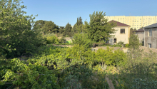 2 otaqlı Bağ evləri, Satış, Bakı, Xəzər, Koroğlu