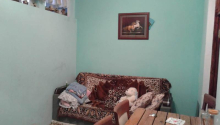 2 otaqlı Villa / Həyət evi