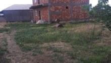 5 otaqlı Villa / Həyət evi, Satış, Naxçıvan