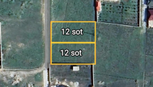 12 sot Torpaq, Satış, Şamaxı