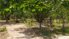 4 otaqlı Villa / Həyət evi, Satış, Abşeron