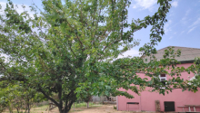 4 otaqlı Villa / Həyət evi, Satış, Abşeron