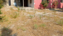 3 otaqlı Villa / Həyət evi, Satış, Bakı, Xəzər, Koroğlu