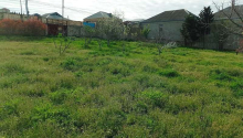 20 sot Torpaq, Satış, Abşeron