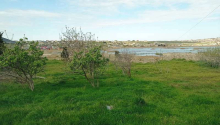 20 sot Torpaq, Satış, Abşeron