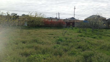 20 sot Torpaq, Satış, Abşeron