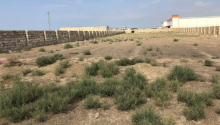 170 sot Torpaq, Satış, Sumqayıt