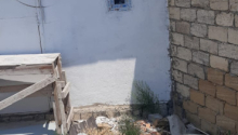 7 sot Torpaq, Satış, Bakı, Xəzər, Koroğlu