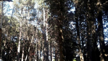26 sot Torpaq, Satış, Bakı, Xəzər