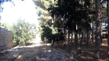 26 sot Torpaq, Satış, Bakı, Xəzər