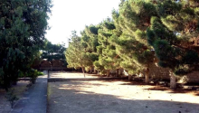 26 sot Torpaq, Satış, Bakı, Xəzər