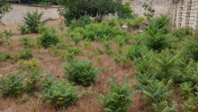 6 m2 Torpaq, Satış, Bakı, Nizami, Neftçilər