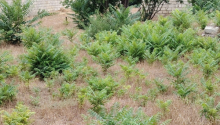 6 m2 Torpaq, Satış, Bakı, Nizami, Neftçilər