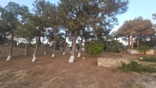 27 sot Torpaq, Satış, Bakı, Xəzər