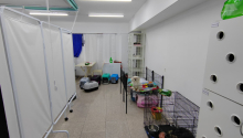 1 otaqlı Obyekt, Satış, Bakı, Xətai, Xətai
