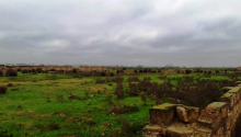 700 sot Torpaq, Satış, Sumqayıt