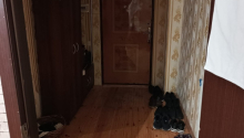 1 otaqlı Yeni tikili, Kirayə (aylıq), Xırdalan