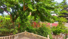 7 otaqlı Villa / Həyət evi, Satış, Bakı, Binəqədi