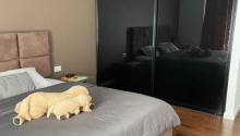 3 otaqlı Yeni tikili, Satış, Bakı, Yasamal