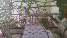 14 otaqlı Obyekt, Satış, Bakı, Xəzər, Koroğlu