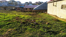 6 sot Torpaq, Satış, Abşeron