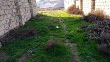 6 sot Torpaq, Satış, Abşeron