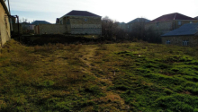 6 sot Torpaq, Satış, Abşeron