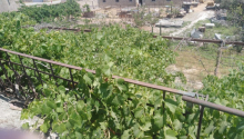 6 otaqlı Villa / Həyət evi, Satış, Bakı, Sabunçu