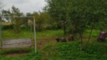 3 otaqlı Villa / Həyət evi, Satış, Quba