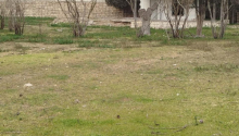 37 sot Torpaq, Satış, Bakı, Xəzər