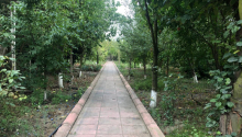 6 otaqlı Villa / Həyət evi, Satış, Xaçmaz