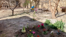5 otaqlı Villa / Həyət evi, Satış, Bakı, Sabunçu