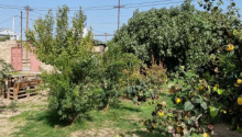 3 otaqlı Bağ evləri, Satış, Bakı, Sabunçu, Koroğlu